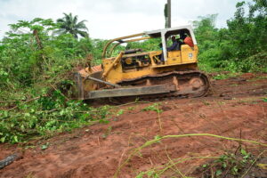 Land Clearing for Fayus farm